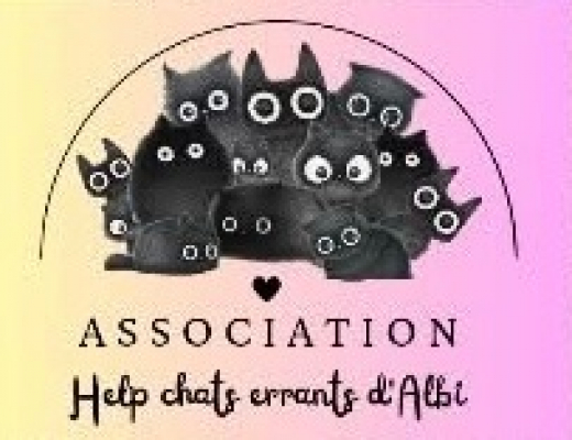 Image #1 d'illustration de l'association