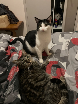 Image #4 d'illustration de l'association