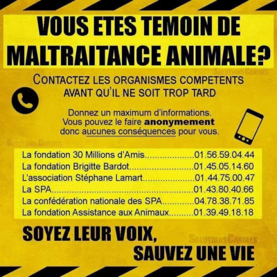 Image #5 d'illustration de l'association