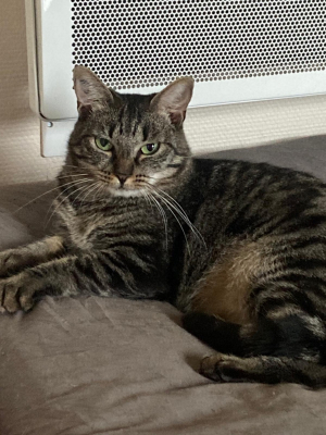 Image #6 d'illustration de l'association