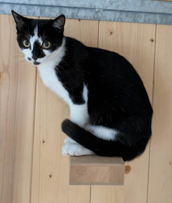 Image #3 d'illustration de l'association