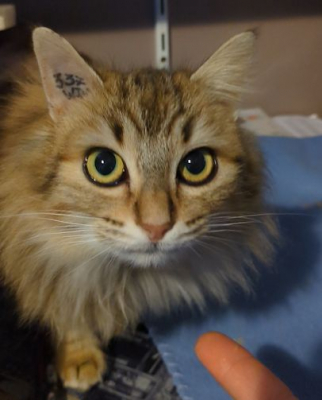 Image #4 d'illustration de l'association