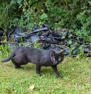 Image #5 d'illustration de l'association