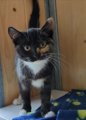 Image #6 d'illustration de l'association