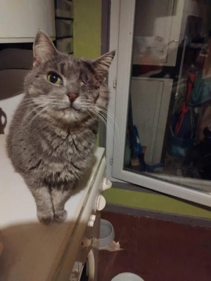 Image #3 d'illustration de l'association