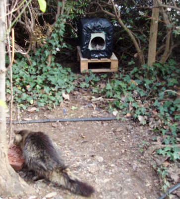 Image #6 d'illustration de l'association