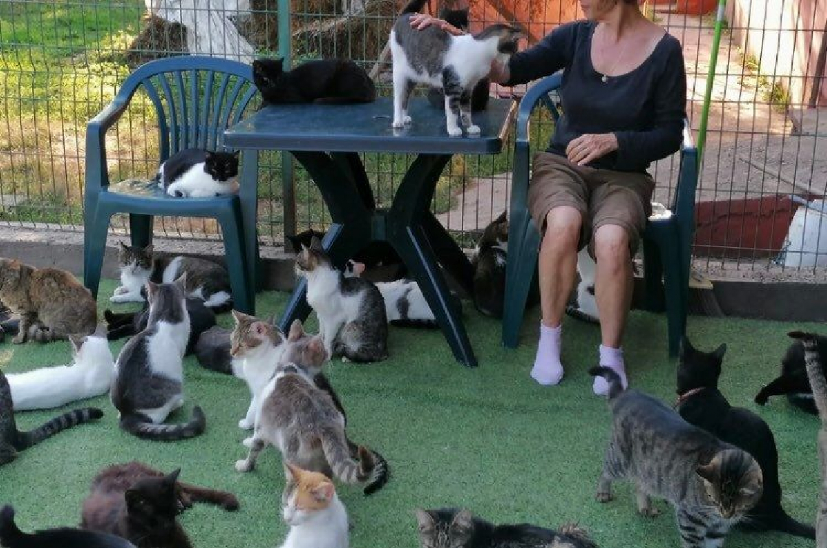 Image #0 d'illustration de l'association