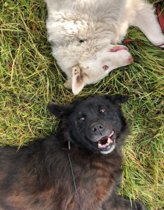 Image #2 d'illustration de l'association