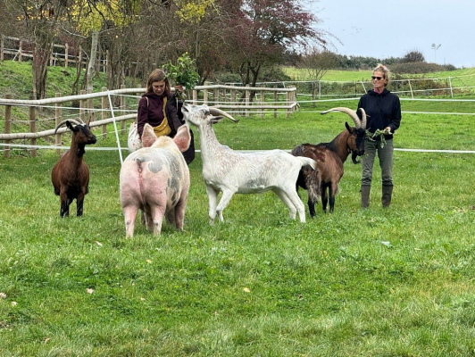 Image #3 d'illustration de l'association