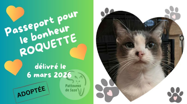 Image #1 d'illustration de l'association