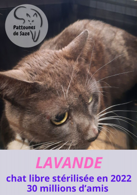 Image #2 d'illustration de l'association