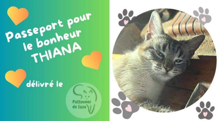 Image #3 d'illustration de l'association