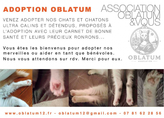 Image #0 d'illustration de l'association