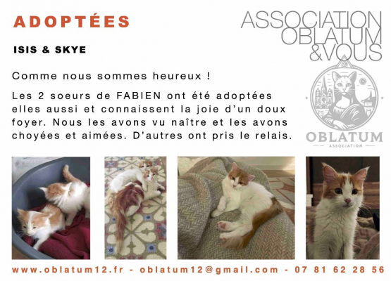 Image #1 d'illustration de l'association