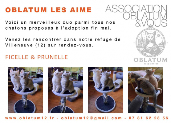 Image #2 d'illustration de l'association