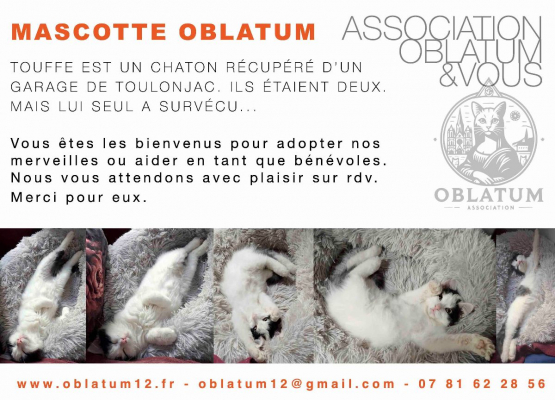 Image #3 d'illustration de l'association