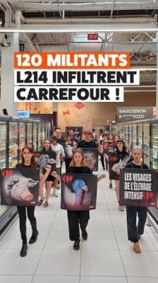 Image #0 d'illustration de l'association