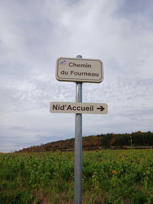 Image #0 d'illustration de l'association