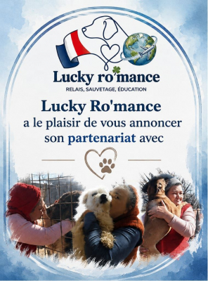 Image #2 d'illustration de l'association
