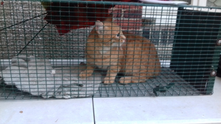 Image #21 d'illustration de l'association