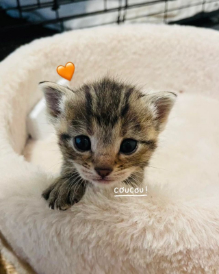 Image #0 d'illustration de l'association