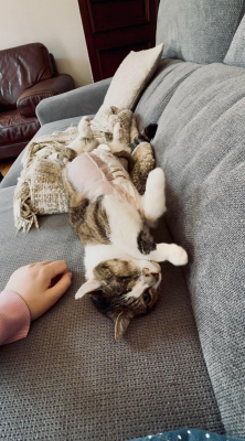 Image #2 d'illustration de l'association