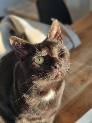 Image #3 d'illustration de l'association