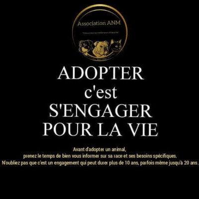 Image #0 d'illustration de l'association