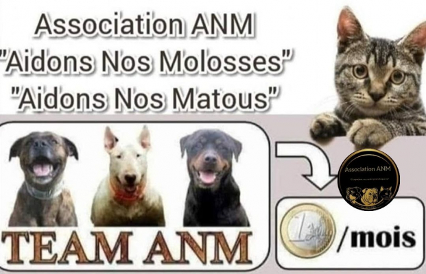 Image #1 d'illustration de l'association