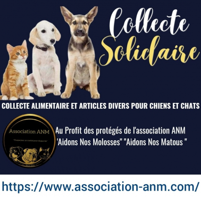 Image #2 d'illustration de l'association