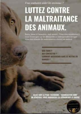 Image #3 d'illustration de l'association