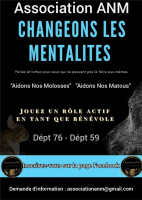 Image #4 d'illustration de l'association