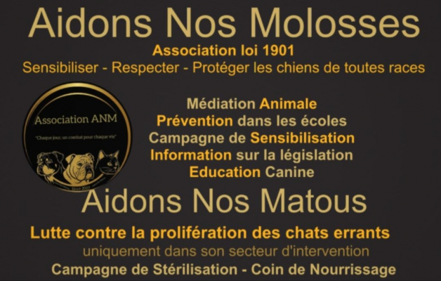 Image #5 d'illustration de l'association