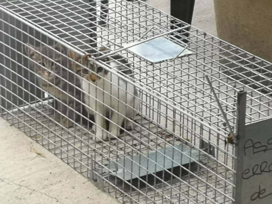 Image #0 d'illustration de l'association