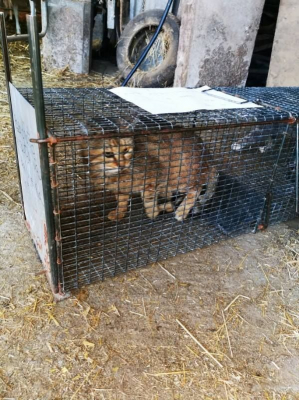 Image #2 d'illustration de l'association