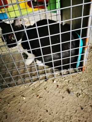 Image #3 d'illustration de l'association