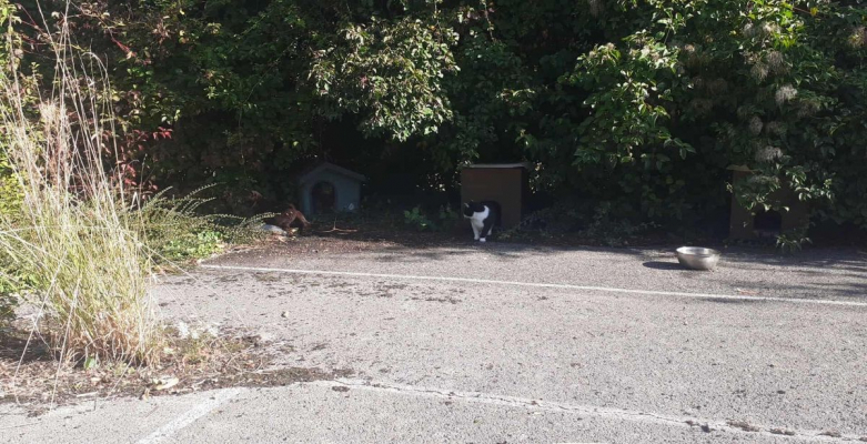 Image #4 d'illustration de l'association