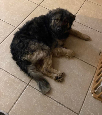 Image #2 d'illustration de l'association