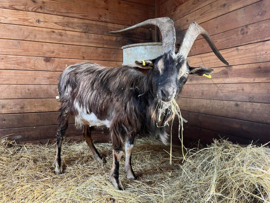 Image #7 d'illustration de l'association