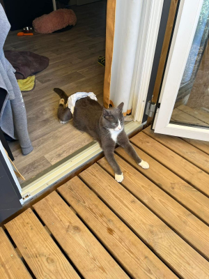 Image #10 d'illustration de l'association