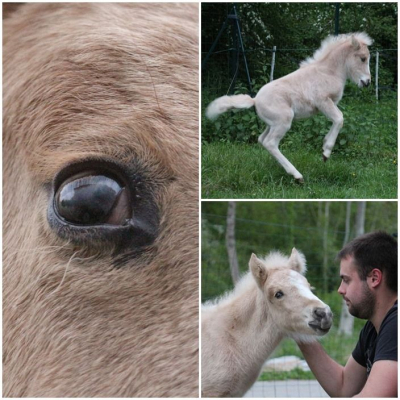 Image #18 d'illustration de l'association