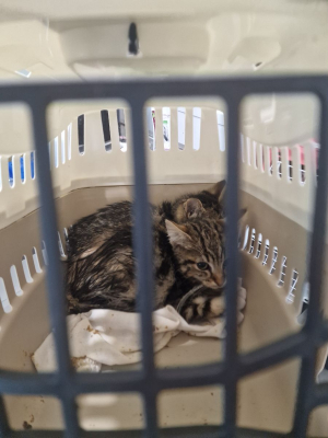 Image #0 d'illustration de l'association