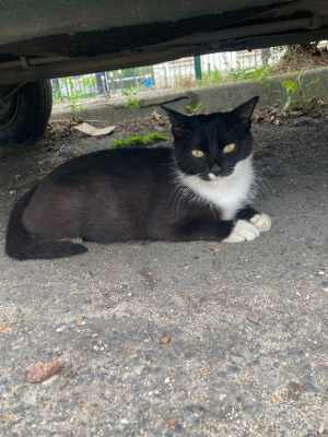 Image #2 d'illustration de l'association