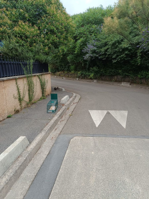 Image #3 d'illustration de l'association