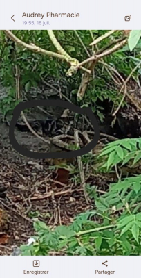 Image #4 d'illustration de l'association