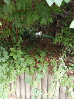 Image #6 d'illustration de l'association