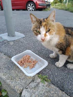 Image #7 d'illustration de l'association