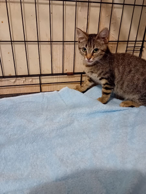 Image #8 d'illustration de l'association