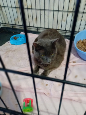 Image #9 d'illustration de l'association