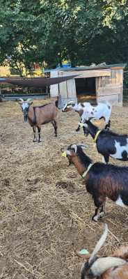 Image #1 d'illustration de l'association